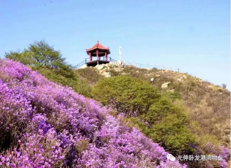 J9集团·(中国)官网 -首页